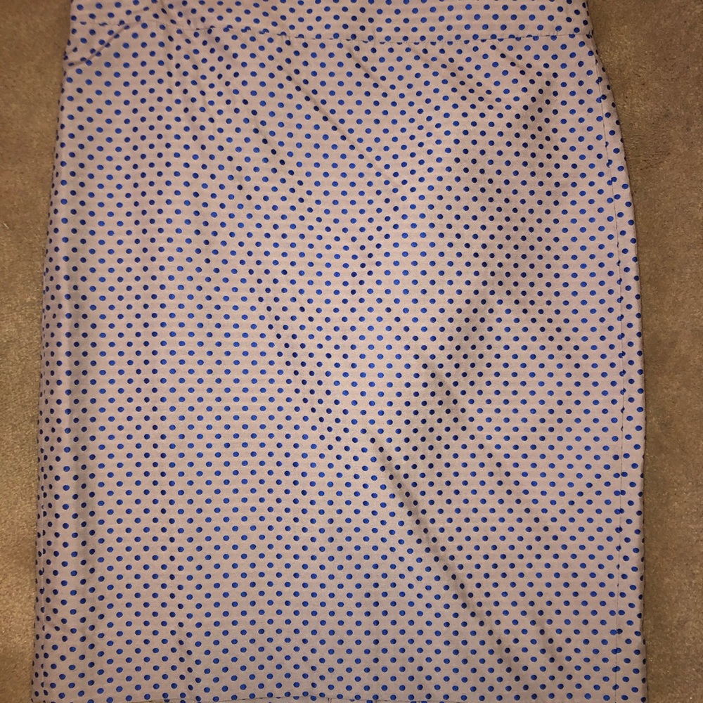 NWOT J. Crew Factory pencil skirt